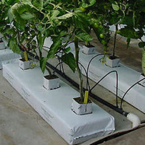 grow-bag-pallet-saravana-agro-tech-1