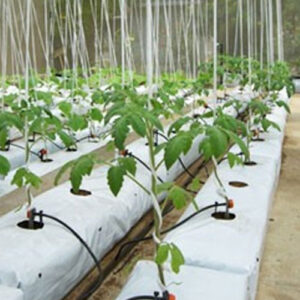 grow-bag-pallet-saravana-agro-tech-2